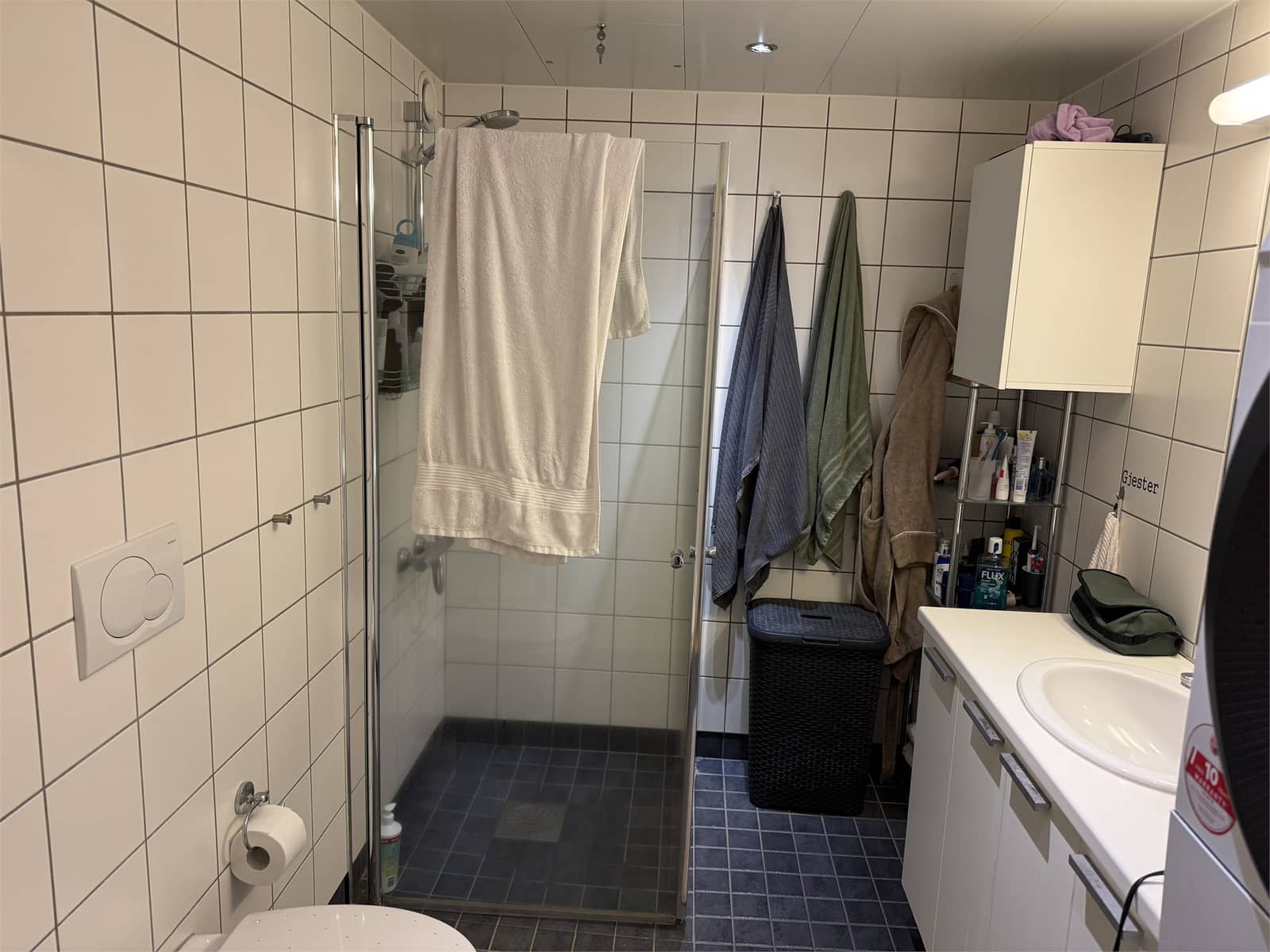 Spikkestadveien 94B, RØYKEN